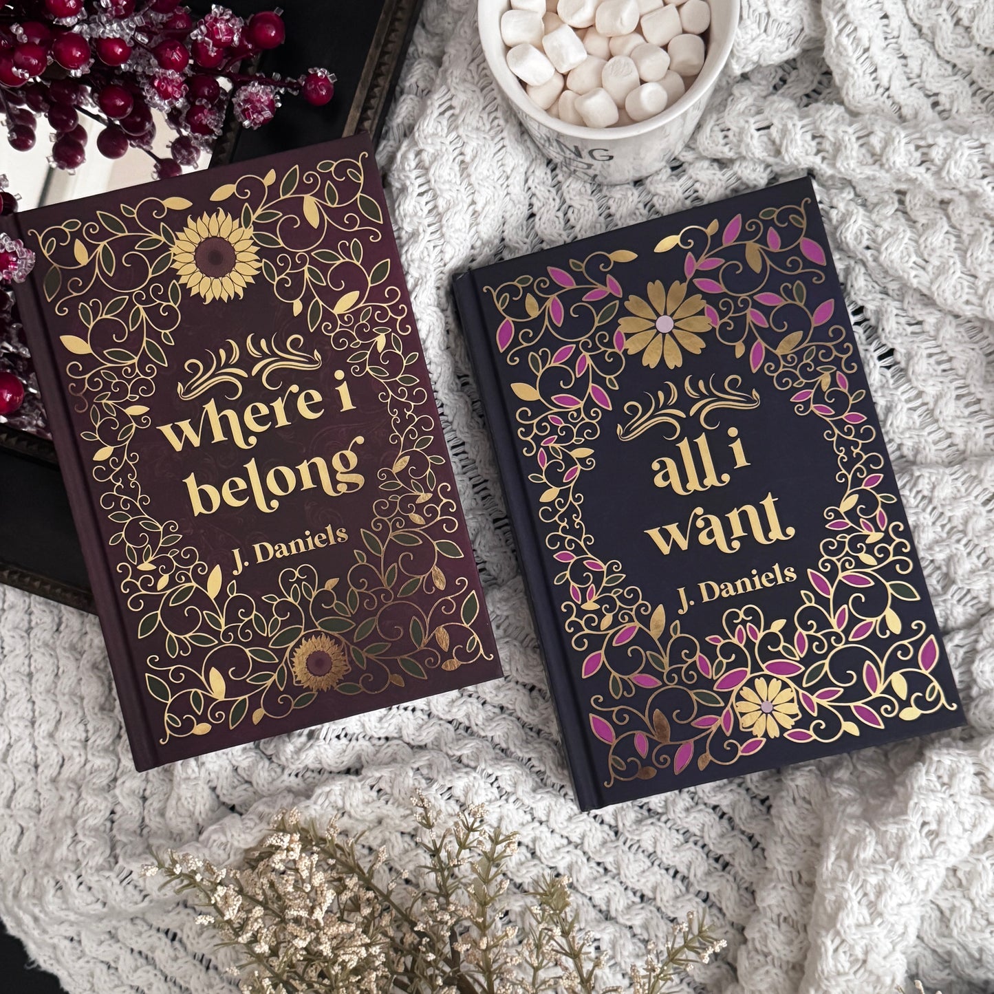 J Daniels - Where I Belong and All I Want