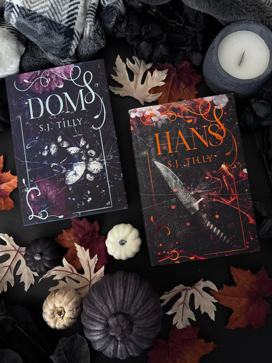 Add on box - Dom and Hans by S.J. Tilly